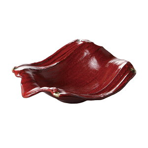 gMqVڗ8D5 [29.5×14.5×8.5cm] | SNS CX^f  킢  JtF aJtF JtF  H aH mH Ɩp  v[g Mtg Vv _