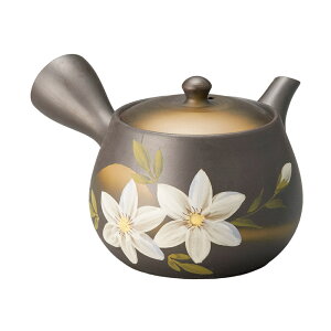 DS}{i₩A~j [16×13.5×9cm 380cc] | Ɩp  v[g Mtg  킢 j Zbg }{ yr |bg   Vv _