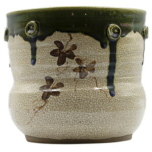 D  iij {[ [23.5×25cm 3670g] |    \  m×p    r  yY v[g Mtg 蕨