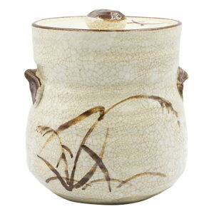 u쎨twiij ϔ [12.8×15.5cm 1100g] |    \  m×p   w _O yY v[g Mtg 蕨