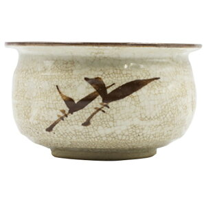 u쌚iij ϔ [13.3×8.3cm 360g] |    \  m×p     _O yY v[g Mtg 蕨