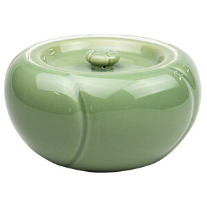 ZP~wiǖj ؔ [21×10cm 1310g] |    \  m×p   w _O yY v[g Mtg 蕨