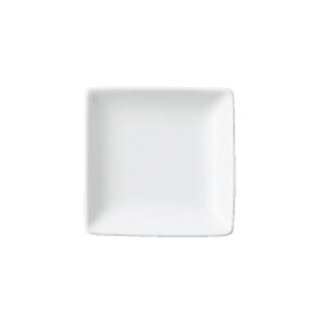 ̂ 10p  [100 X 100 X 10mm] [120g] |  R[X^[ ꕞ lC  H Ɩp HX JtF    킢 Mtg v[g o a 蕨 i