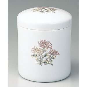  e 6 [6] |  d ~ ފ } {   l O ~ V  茳{ ŋ