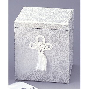  L 6ٗp [6ٗp] |  d ~ ފ } {   l O ~ V  茳{ ŋ