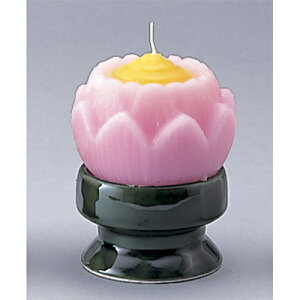 [\N @ԃ[\Nt/sN |  d ~ ފ } {   l O ~ V  茳{ ŋ