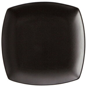 v[ ubN 10"lpM [26.8 x 26.8 x 2.8cm] | lp XNGA XNGA[ pM pX^ lC  H mH Ɩp HX JtF    킢 Mtg v[g 