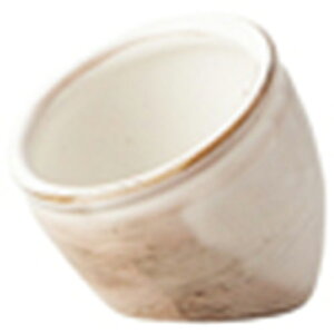  ij [R7.7 x 8cm] |    P 򖡓 Е  㐻i JX^[  Ƃ ˕ Ɩp  HX   _  CeA    v