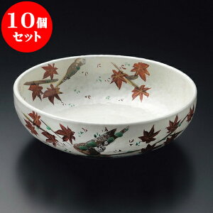 10Zbg 唫 _8.0 [ 24.7 x 7.8cm ]|  pX^M 蔫 {E 傫  H Ɩp HX JtF   Mtg v[g j j a 蕨 i  