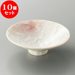 10Zbg t u16cm [ 16 x 16 x 4.8cm ] | aH   {E   ze H Ɩp HX JtF    킢 Mtg v[g j a 蕨 