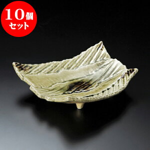 10Zbg 唫 r[hό`8.5 [ 26 x 24 x 7.5cm ]|  pX^M 蔫 {E 傫  H Ɩp HX JtF   Mtg v[g j j a 蕨 