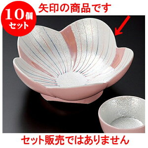 10Zbg hg sNփX^[Ԍ^t [ 14.5 x 5.5cm ] | aH hg  {E  ze H Ɩp HX JtF    킢 Mtg v[g j a 