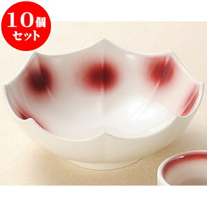 10Zbg hg }phg [ 15 x 6cm ] | aH hg  {E  ze H Ɩp HX JtF    킢 Mtg v[g j a 蕨 i 