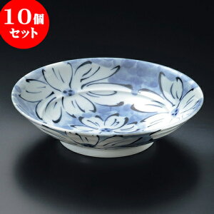 10Zbg 唫 ։8.0唫 [ 25 x 6cm ]|  pX^M 蔫 {E 傫  H Ɩp HX JtF   Mtg v[g j j a 蕨 i 