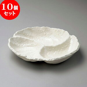 10Zbg 唫 nOb؃I[hui݌Ïāj [ 27.8 x 25.7 x 5.3cm ]|  pX^M 蔫 {E 傫  H Ɩp HX JtF   Mtg v[g j 