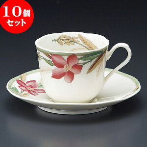10Zbg R[q[ }h[kNBR[q[qM [ 8 x 6.6cm 210cc E 14.7 x 2cm ] | lC  H mH Ɩp HX JtF    킢 Mtg v[g a i 