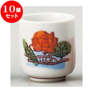 10Zbg _ 1.6 [ 5cm ] |  d ~ ފ } {   l O ~ V  茳{ ŋ HZbg