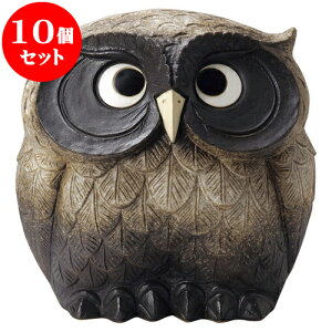 10Zbg My 13YMy [ 36 x 30 x 36cm ] | lC  H mH Ɩp HX JtF    킢 Mtg v[g a i HZbg HZbg