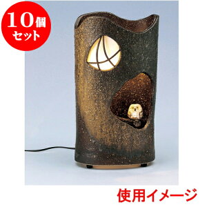 10Zbg  ӂ낤vipjiMyāj [ 20 x 14 x 37.5cm ] | lC  H mH Ɩp HX JtF    킢 Mtg v[g a i 