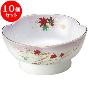 10Zbg aI[v R ObRhg [ 14.6 x 6.8cm ] | lC  H mH Ɩp HX JtF    킢 Mtg v[g a i HZbg HZ