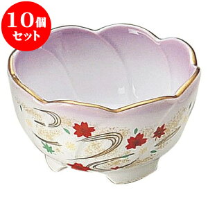 10Zbg aI[v R ˂^ [ 6.7 x 3.7cm ] | lC  H mH Ɩp HX JtF    킢 Mtg v[g a i HZbg H