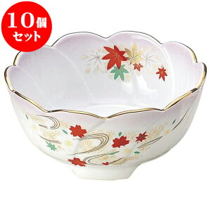 10Zbg aI[v R ˂^hg [ 13.3 x 6cm ] | lC  H mH Ɩp HX JtF    킢 Mtg v[g a i HZbg HZ