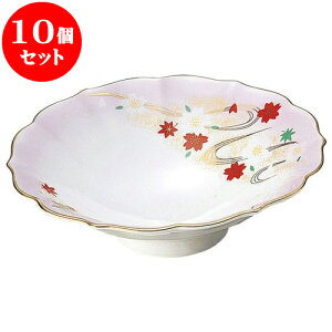 10Zbg aI[v R Ԍ^t [ 14.7 x 4.3cm ] | lC  H mH Ɩp HX JtF    킢 Mtg v[g a i HZbg HZb