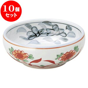 10Zbg aI[v ԊG 5.0T_{[ [ 15 x 5.6cm ] | lC  H mH Ɩp HX JtF    킢 Mtg v[g a i HZbg H