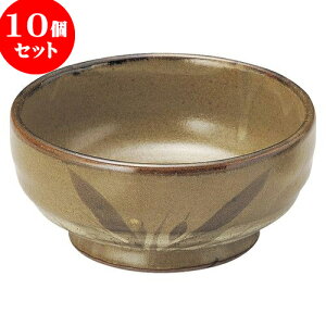 10Zbg aI[v ʓS 5.0hg [ 15.5 x 7cm ] | lC  H mH Ɩp HX JtF    킢 Mtg v[g a i HZbg H