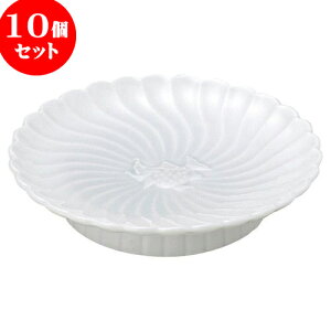 10Zbg aI[v  M [ 19.2 x 3.8cm ] | lC  H mH Ɩp HX JtF    킢 Mtg v[g a i HZbg HZb