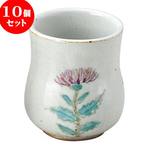 10Zbg aI[v `   [ 7.7 x 9cm E 260cc ] | lC  H mH Ɩp HX JtF    킢 Mtg v[g a i HZb