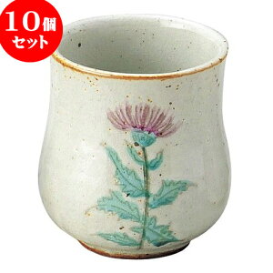 10Zbg aI[v `   [ 6.7 x 8.5cm E 170cc ] | lC  H mH Ɩp HX JtF    킢 Mtg v[g a i HZ