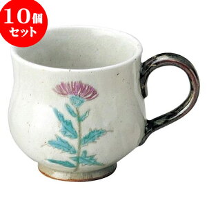 10Zbg aI[v ` }OJbv [ 8.3 x 8.5cm E 320cc ] | lC  H mH Ɩp HX JtF    킢 Mtg v[g a i H