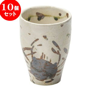 10Zbg aI[v u삩 t[Jbv [ 8.5 x 11.5cm 320cc ] | t[Jbv ^u[ Jbv Rbv r[   o[ bar ӎ lC  H Ɩp HX JtF  