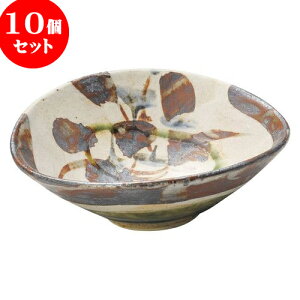 10Zbg aI[v ꋎu삩 ݔ [ 16 x 14 x 5.7cm ] |   蔫 {E   lC H Ɩp HX JtF    킢  Mtg v[g 