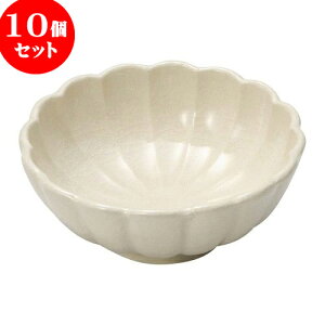 10Zbg aI[v ue 4.5 [ 13.2 x 5.3cm ] |     {E \ lC  H Ɩp HX JtF    킢 Mtg v[gj 