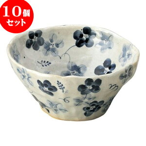 10Zbg aI[v ̉ ij [ 16 x 7cm ] | lC  H mH Ɩp HX JtF    킢 Mtg v[g a i HZbg HZ