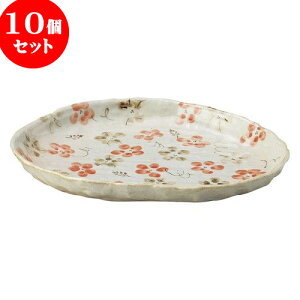 10Zbg aI[v ̉ ό`Miԁj [ 24 x 19 x 2.5cm ] | lC  H mH Ɩp HX JtF    킢 Mtg v[g a i HZbg