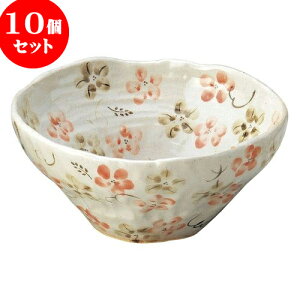 10Zbg aI[v ̉ ij [ 18.5 x 8cm ] | lC  H mH Ɩp HX JtF    킢 Mtg v[g a i HZbg H