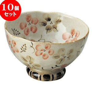 10Zbg aI[v ̉ 邩јqiԁj [ 10 x 6.3cm ] | lC  H mH Ɩp HX JtF    킢 Mtg v[g a i HZ