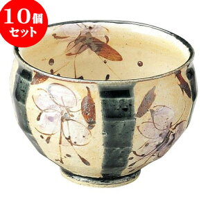 10Zbg aI[v 邩闕ւ܂ق Ղq [ 9.7 x 7.2cm E 270cc ] | lC  H mH Ɩp HX JtF    킢 Mtg v[g a 