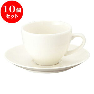 10Zbg mI[v V^x[VbN R[q[qM [ q 8.8 x 6.4cm E 190cc ][ M 15 x 2.1cm ] | lC  H mH Ɩp HX JtF    킢 Mtg v[