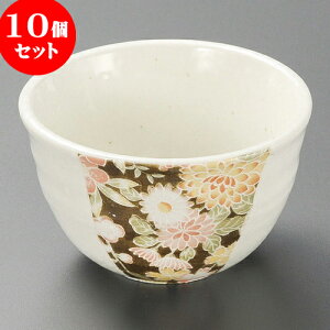 10Zbg  FT [ 10.5 x 6.2cm ] |     {E \ lC  H Ɩp HX JtF    킢 Mtg v[gj j a