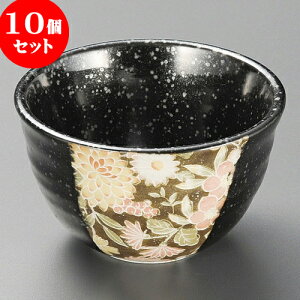 10Zbg  FT [ 10.5 x 6.2cm ] |     {E \ lC  H Ɩp HX JtF    킢 Mtg v[gj j a