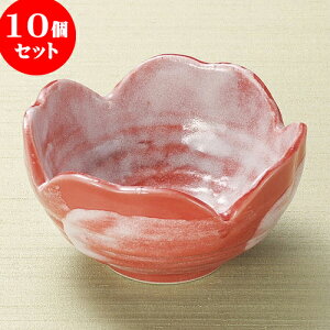 10Zbg g ԍюlcRij [ 10.3 x 5.7cm ] |   {E {[ H Ɩp HX JtF    킢   Mtg v[g o j 