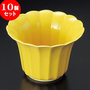 10Zbg  ֋e^ [ 10.7 x 7.3cm ] |     {E \ lC  H Ɩp HX JtF    킢 Mtg v[gj j a