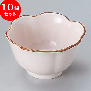 10Zbg g Ԍ^sNij [ 10.6 x 5.7cm ] |   {E {[ H Ɩp HX JtF    킢   Mtg v[g o j 