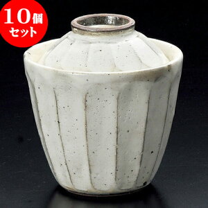 10Zbg ނq ʎނq [ 10.3 x 10cm 180 ] | q ނ  i q ނq H Ɩp HX  킢 Mtg v[g o a 蕨 
