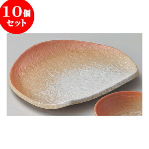 10Zbg VM ǂVM [ 21.3 x 18.5 x 2.7cm ] | Vw VՂ ev  lC H Ɩp HX JtF    킢   Mtg v[g o