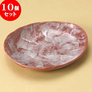 10Zbg ȉ~M ԍʉԃV[Y_~M [ 25.5 x 21.5 x 4cm ] | I[ov[g ȉ~M lC  pX^M t[cM H Ɩp HX JtF    킢 Mtg 